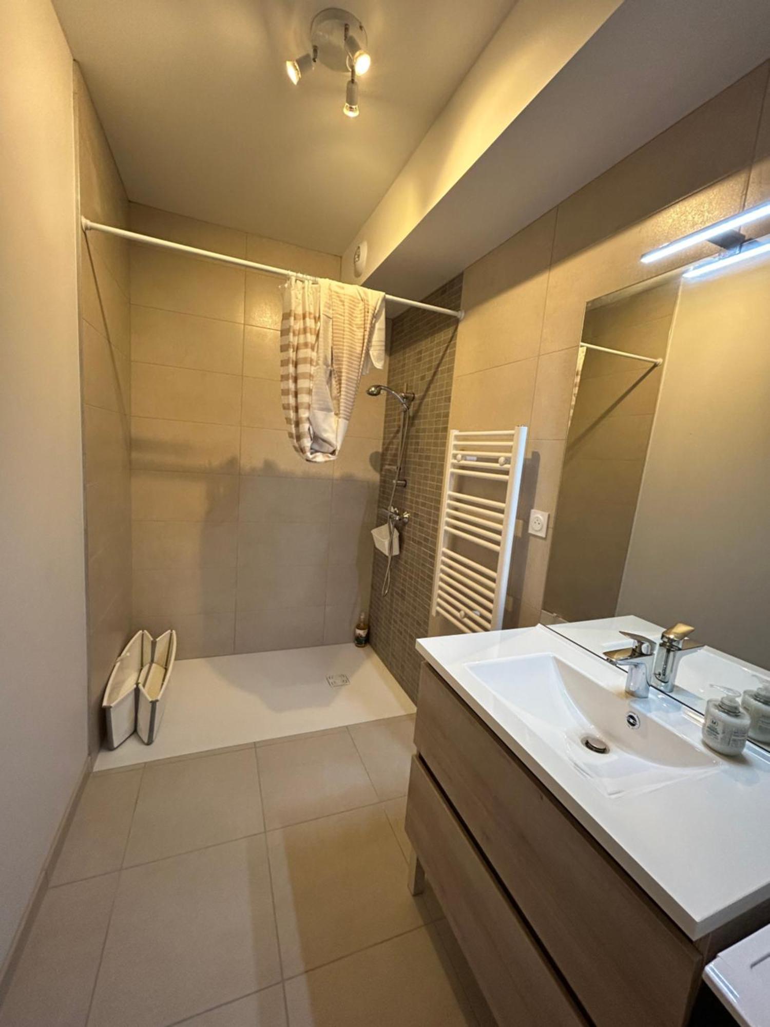 Appartement Avec Jardin Chateauneuf-de-Galaure Dış mekan fotoğraf